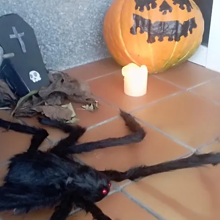 L'antojana Del Cuera Llanes Aptos * San Roque del Acebal